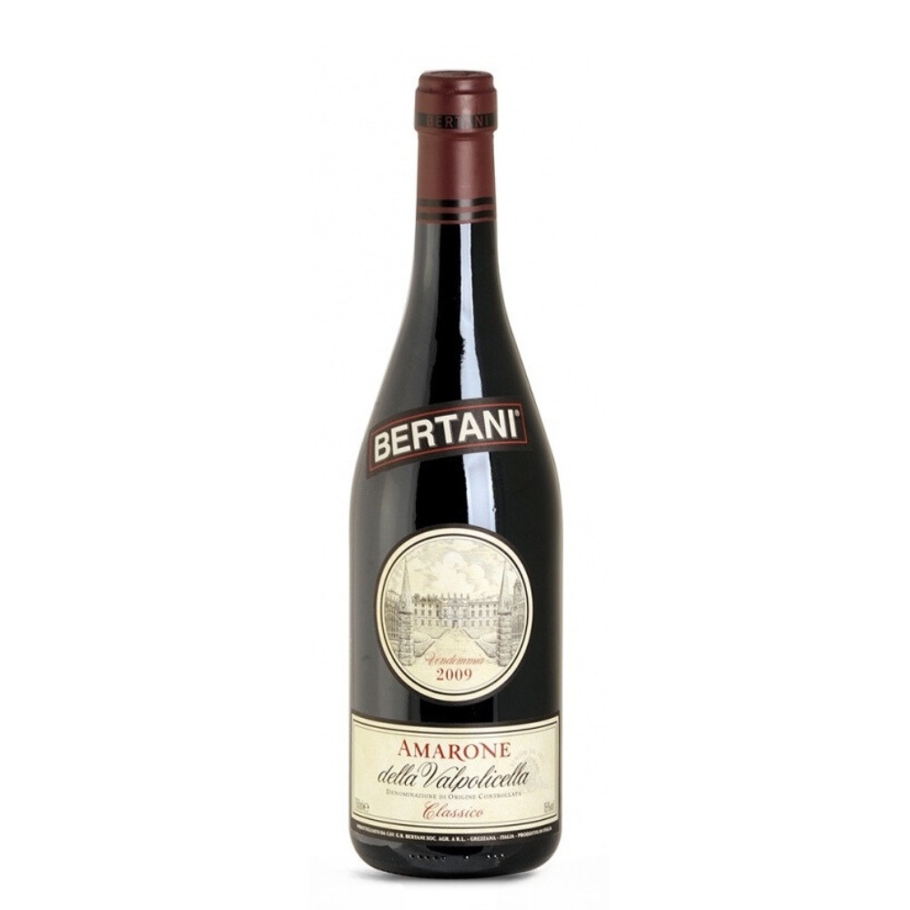 VINO AMARONE BERTANI CLASSICO 2009 75CL.