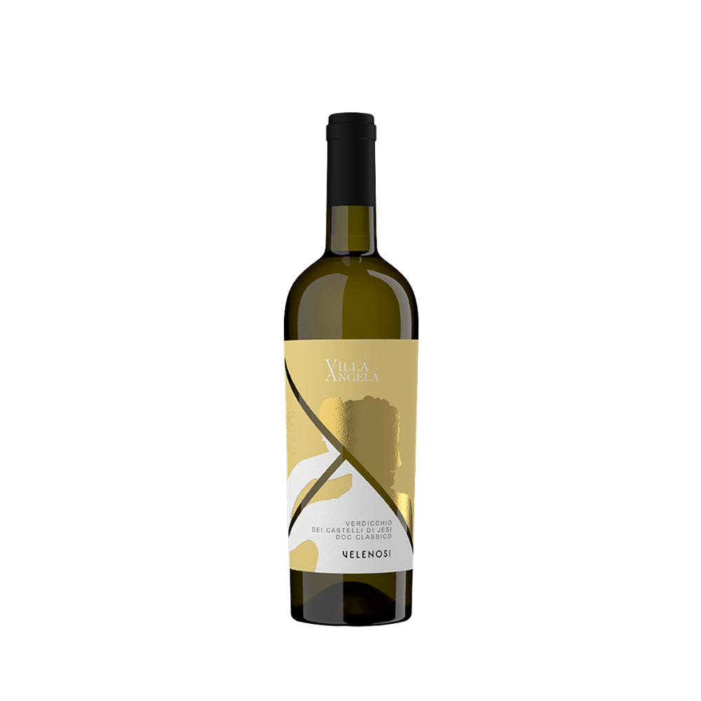 verdicchio